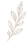 GAV - plante