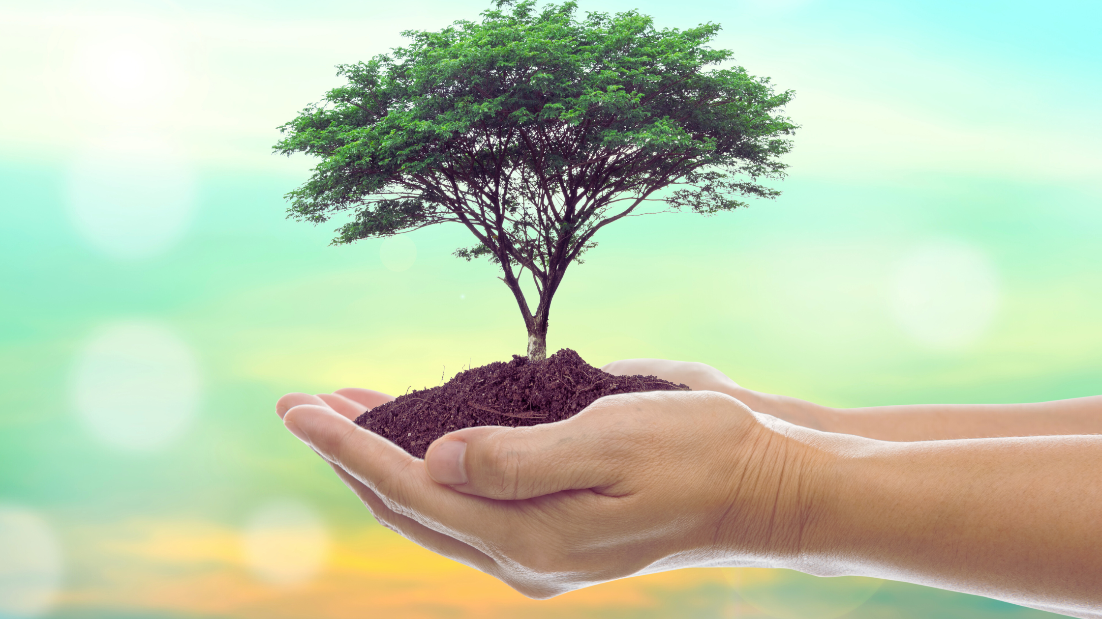 Quand une entreprise va trop bien : les défis invisibles de la croissance